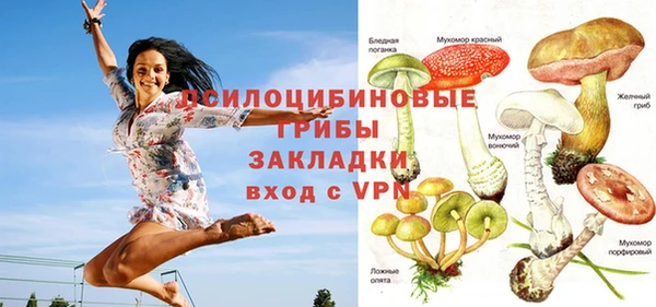 герыч Бородино
