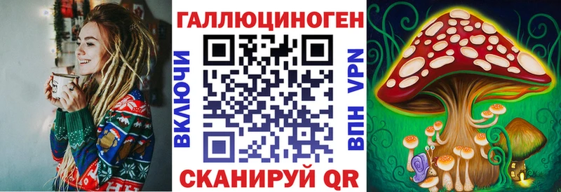 Купить закладки  Кашин  Галлюциногенные грибы GOLDEN TEACHER 